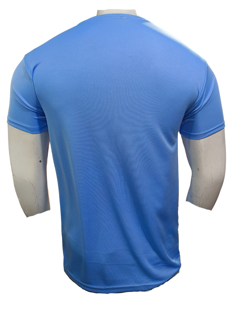 male blue t-shirt back